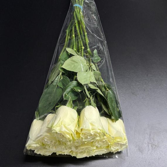 розы Mondial Tessa