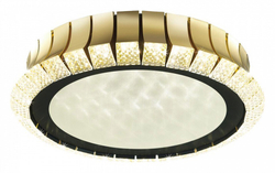 Накладная люстра Odeon Light 4994/75L