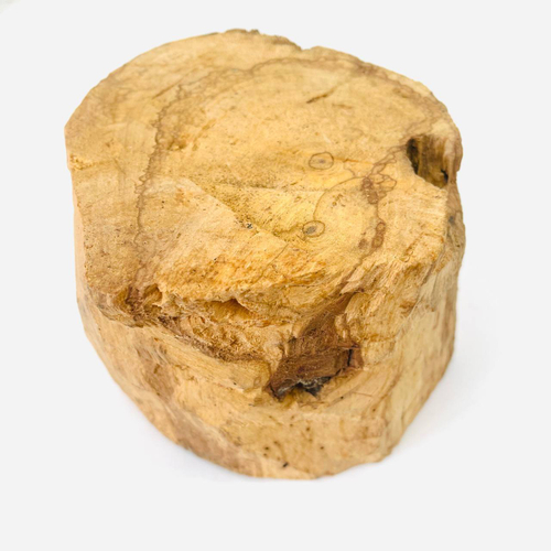 Насыщенный пенек дерева пало санто №20 (645 гр)