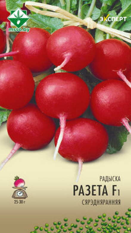 Редис "Розетта F1" 1г, Нидерланды.