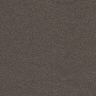 Искусственная кожа Stainless (Стейнлесс) 709