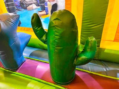 Коммерческий надувной батут «Попугаи и друзья» с крышей, 6x4x4 м