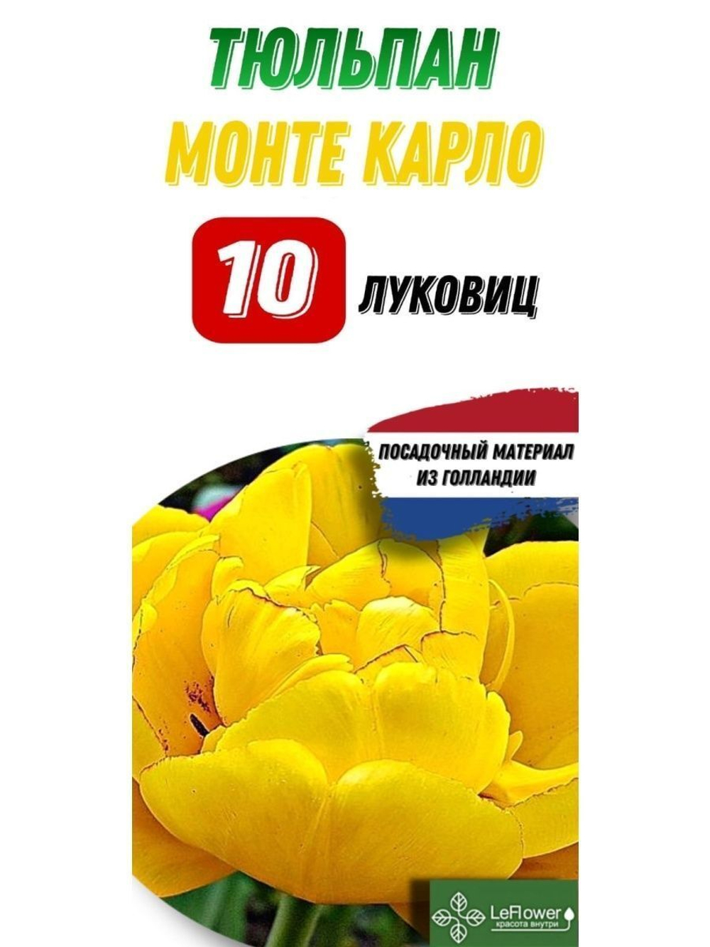 Тюльпан Луковица, Монте Карло, 10шт