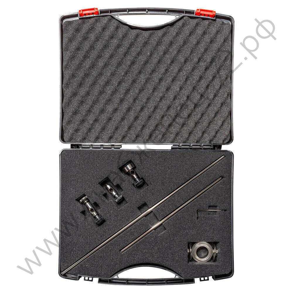 Набор балеринок CP 81 BAL5700