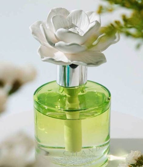 Gardenia Breeze, ароматический диффузор с необычными палочками, Chando