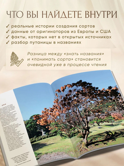 Гортензия. Факты в историях