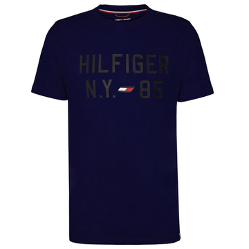 Мужская теннисная футболка Tommy Hilfiger Graphic S/S Training Tee - небесный