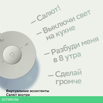 Умная колонка Sber Boom Mini белый (SBDV-00095)