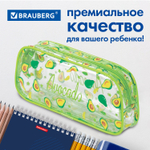 Пенал-косметичка BRAUBERG LUCENT на молнии прозрачный "Avocado" 21х5х9 см (2 штуки в упаковке)