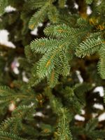 Искусственная ель на ножке «Датская» (хвоя Литая) 210 см / 2.1 м