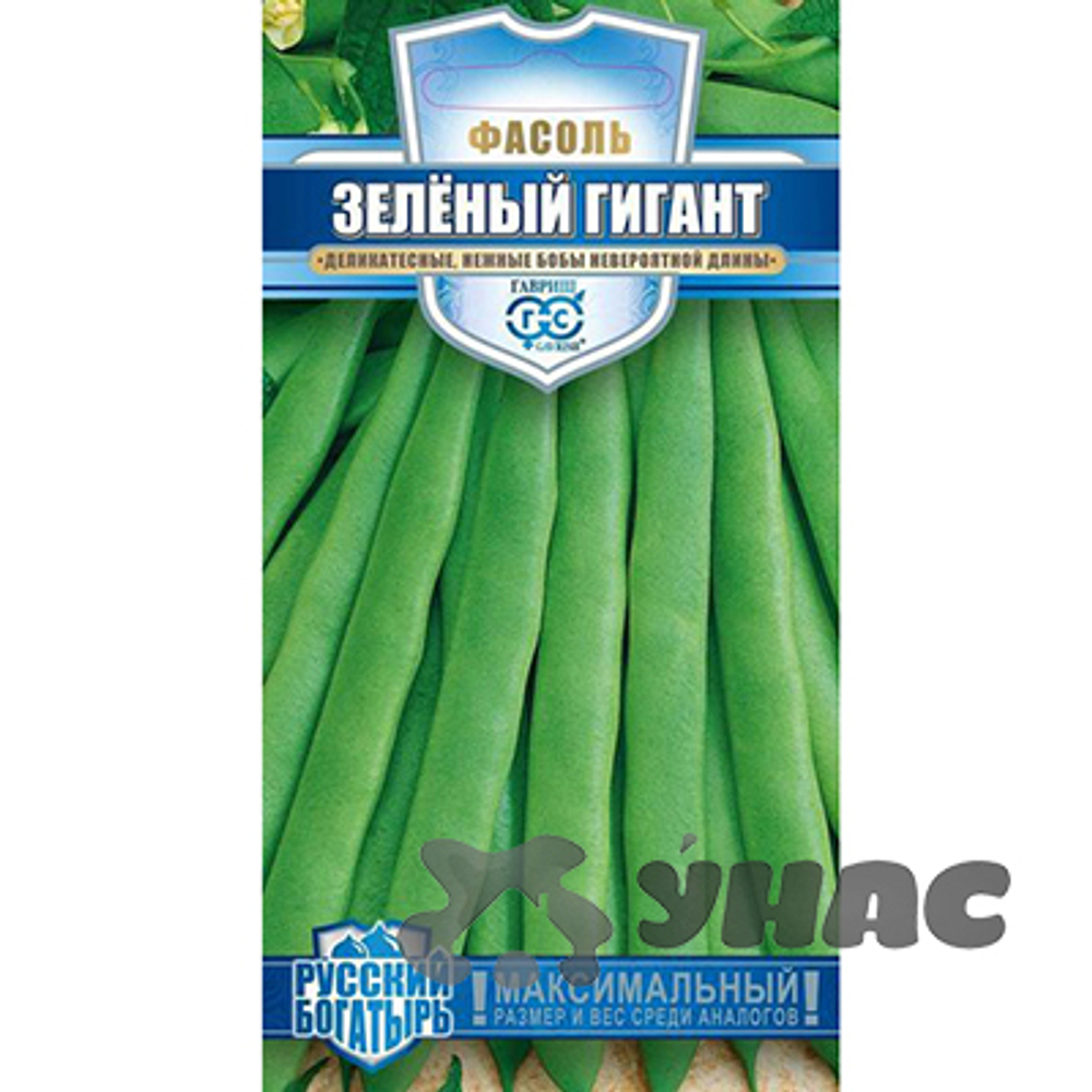 Фасоль Зеленый Гигант (Русский богатырь) Гавриш Ц