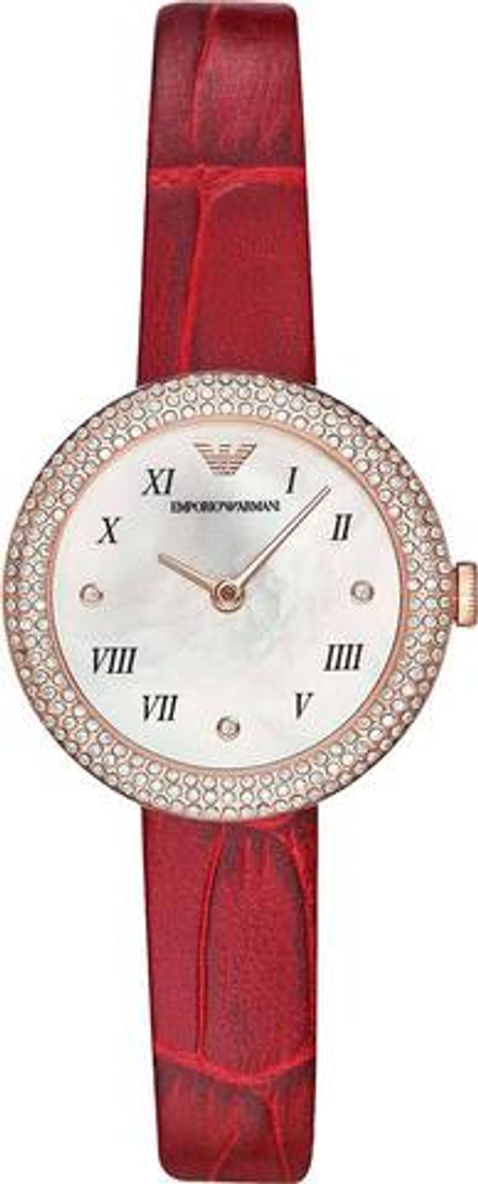 Наручные часы Emporio Armani AR11357