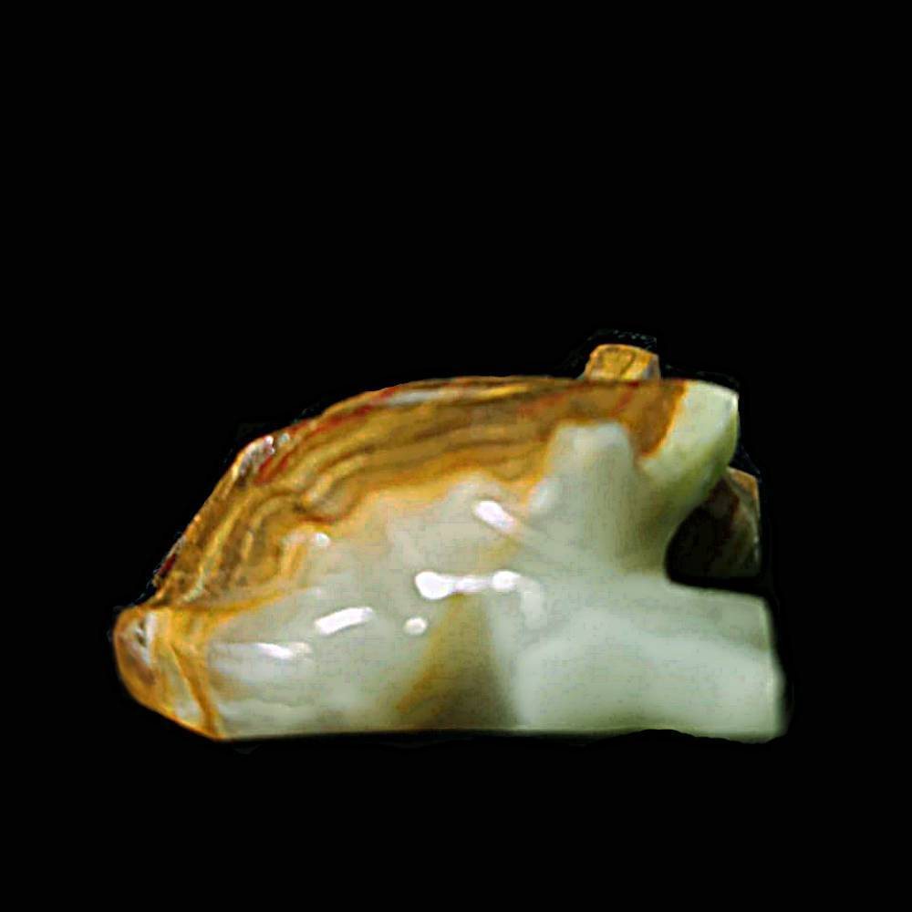 Лягушка оникс асс.