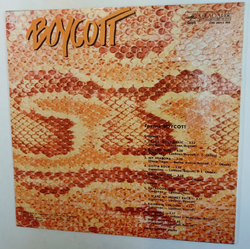 Boycott Группа Boycott