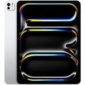 Apple iPad Pro 13-inch M4 2024 1TB Wi-Fi with Standart Glass Silver MVX73
