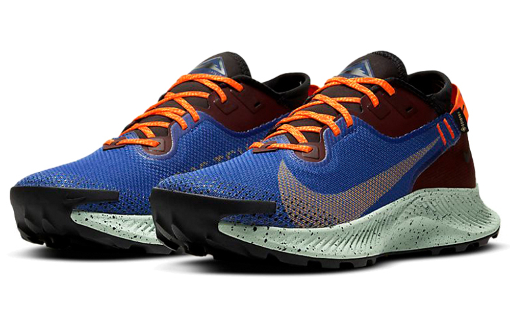 Кроссовки Nike Pegasus Trail 2 Zoom Gore-Tex