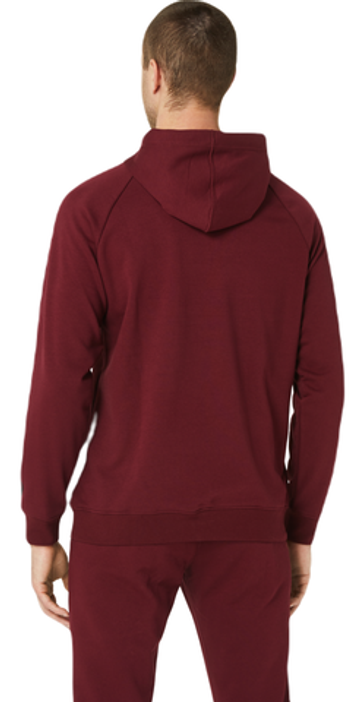 Мужская теннисная кофта Asics Big Asics Oth Hoodie - красный