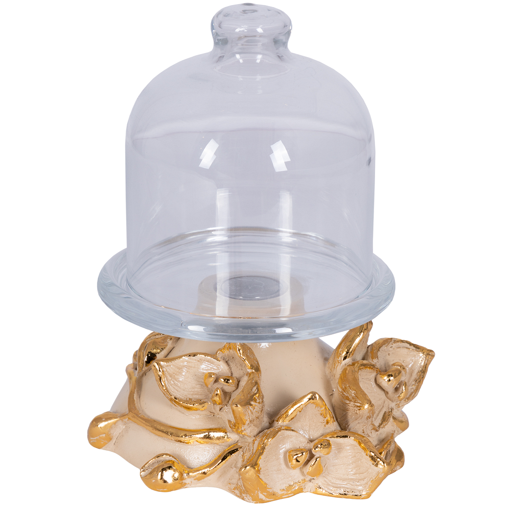 Лимонница Орхидея Лайм Айвори