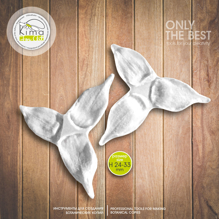 Подсолнух чашелистики