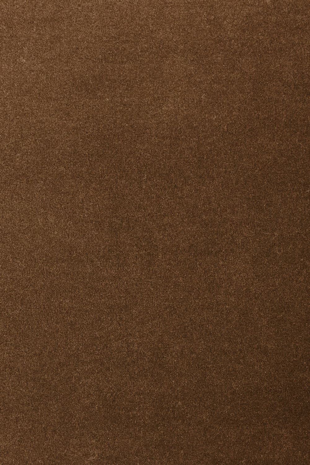 Ковровое покрытие AW The Velvet Collection Onione 44