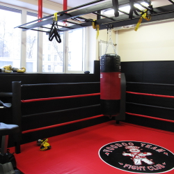 Имитация ринга Fighttech