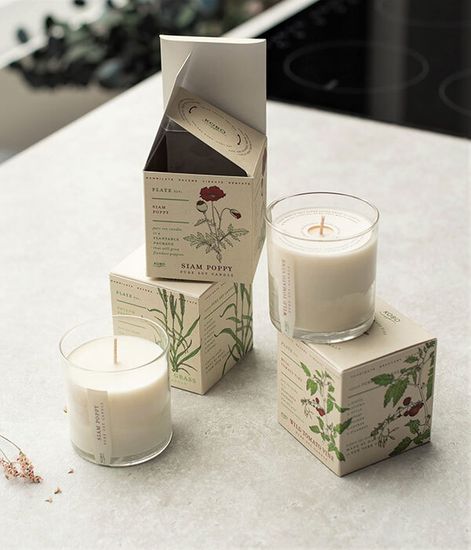 Wild Tomato Vine, свеча The Seeds, Kobo Candles