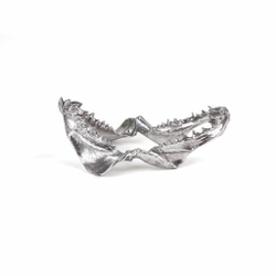 Статуэтка Wunderkammer Shark Jaw 10896