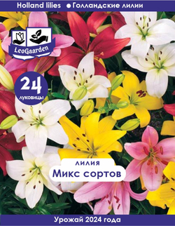Лилия Луковица, Микс сортов 24шт