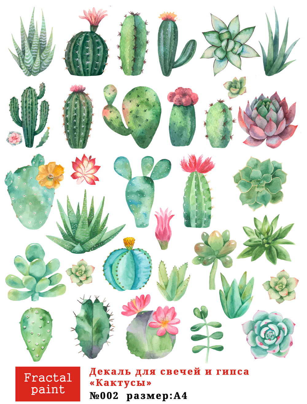 Трансфер переводной - декаль для свечей и гипса кактусы 002