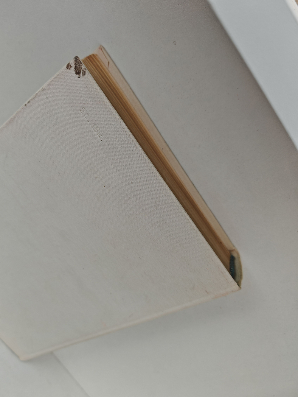 Бернард Шоу (Жизнь в искусстве)