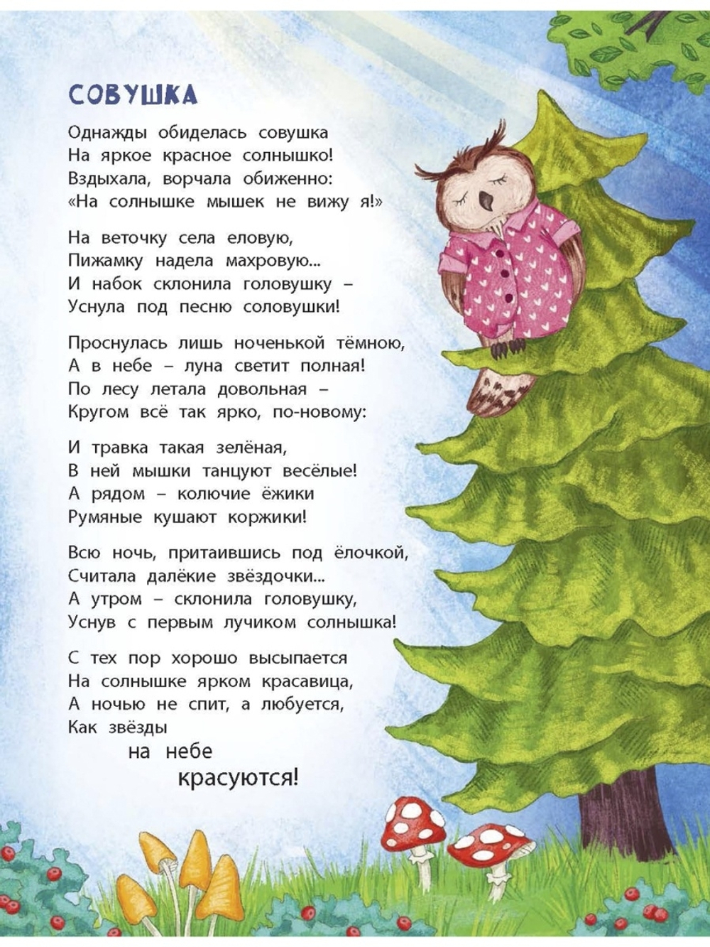 В небе и на земле