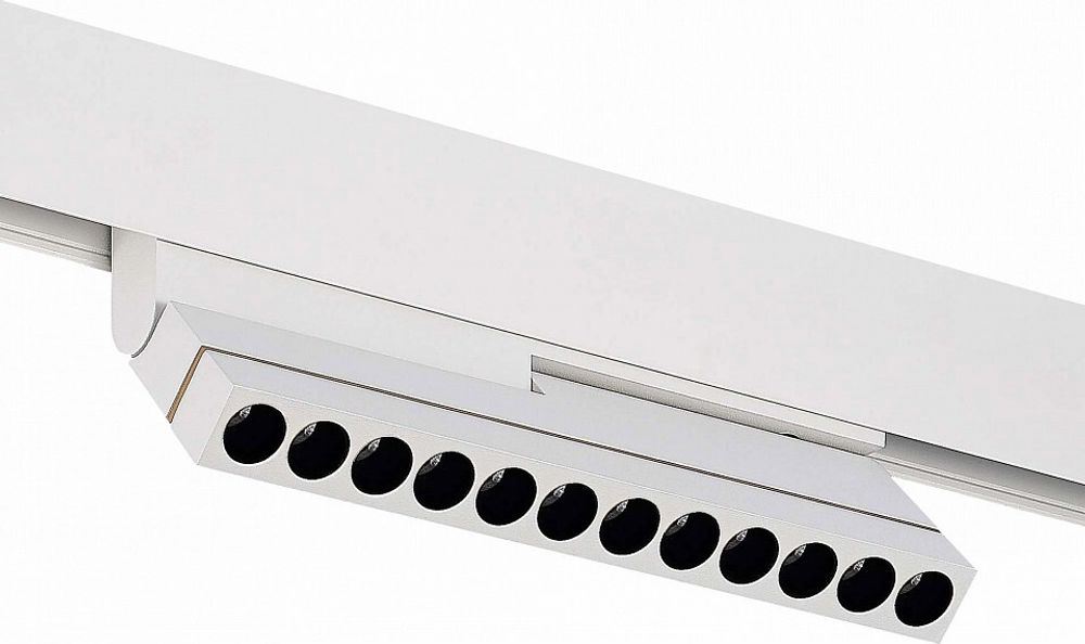 Светильник на штанге ST-Luce ST805 ST805.546.12