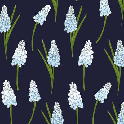 мускари, весенние цветы