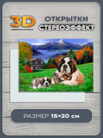 Стереооткрытка с 3D-эффектом "Сенбернары"