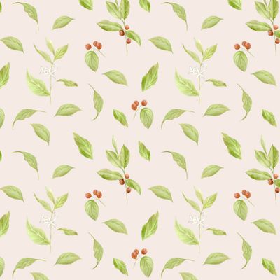 Кофейное растение