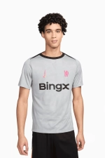 Футболка Nike Chelsea FC 24/25 Pre-Match - серый