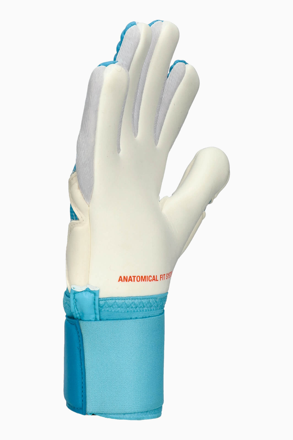 Вратарские перчатки Select 33 Allround V23 - голубой