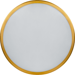 Светильник Navigator 80 500 NLF-C-014-02 17 Вт, золото окантовка