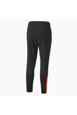 Мужские брюки PUMA individualFINAL Training Pan