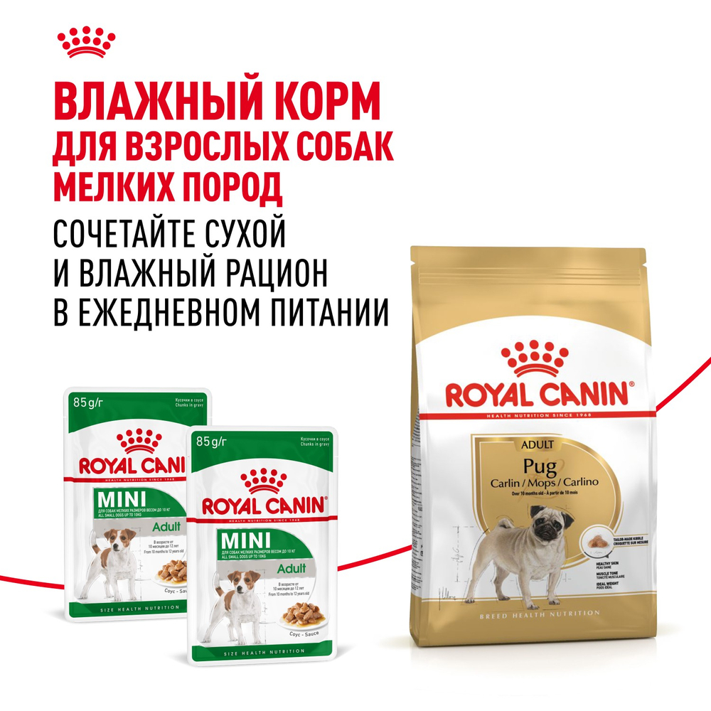 Royal Canin Pug Adult Мопс Эдалт Корм сухой для взрослых собак породы Мопс от 10 месяцев 1,5кг