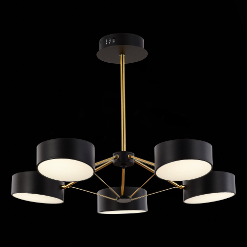 SLE6005-402-05 Светильник потолочный Черный, Золотистый/Черный LED 5*10W