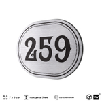Номерок на дверь квартиры 259, для кабинета, офиса, шильдик 9 х 7 см, серебристый, Айдентика Технолоджи
