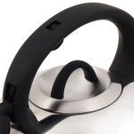 Чайник нерж, 3 л, свист, ручк бакелит, с силик покр, Daniks, Турин, индукц, MSY-075PM