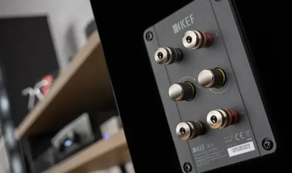 KEF R11 Walnut