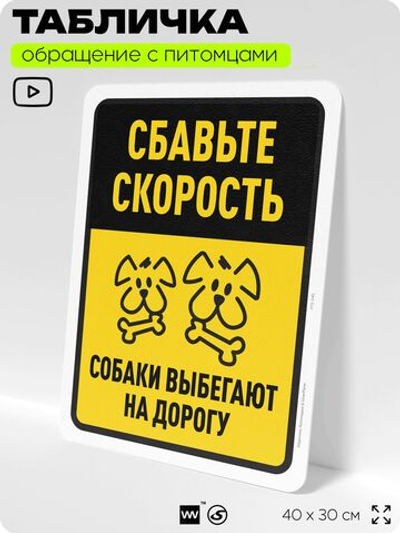 Табличка "Сбавьте скорость, собаки выбегают на дорогу" на дверь и забор, для двора, дома, подъезда, 40х30 см, Silver Plane x Айдентика Технолоджи