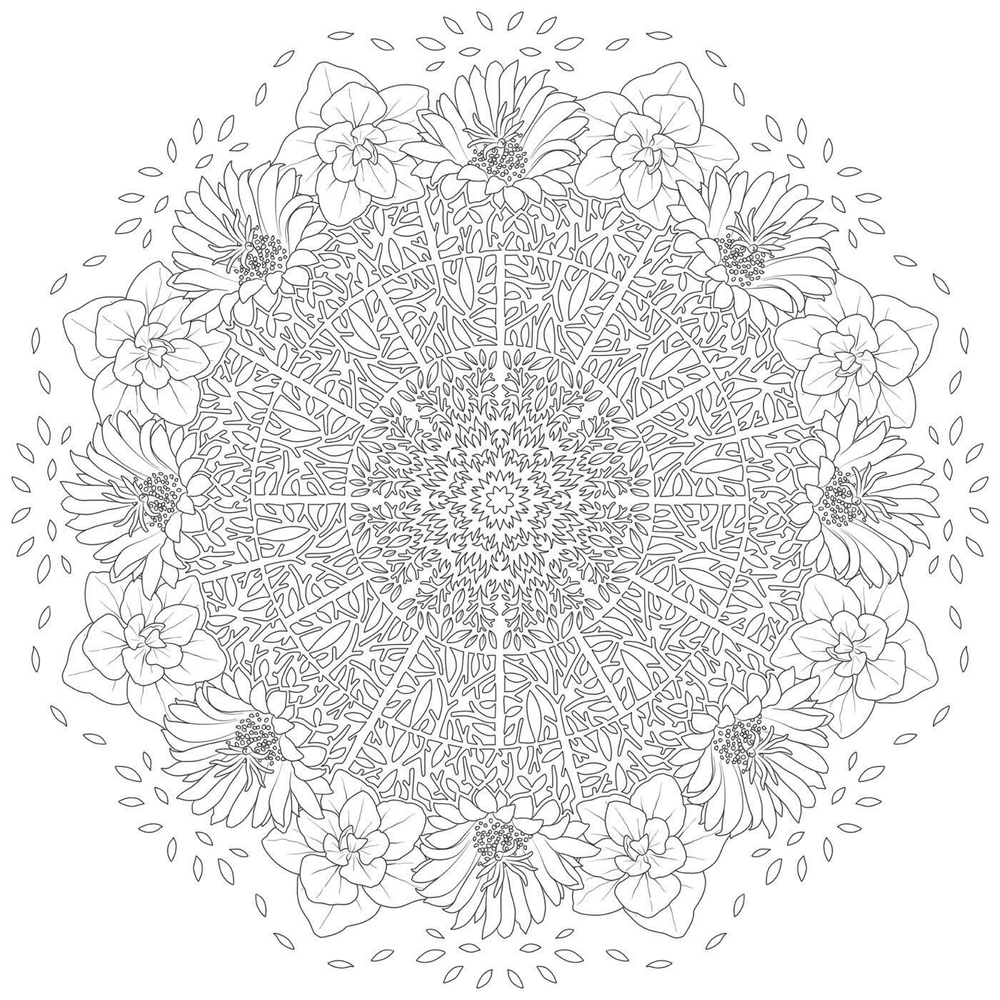 Hachette  раскраска по номерам  Mandalas fleurs