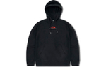 Худи THE NORTH FACE UE Logo, NF0A5JUO-JK3