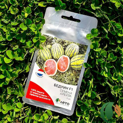 Семена арбуза Бедуин F1, Bejo