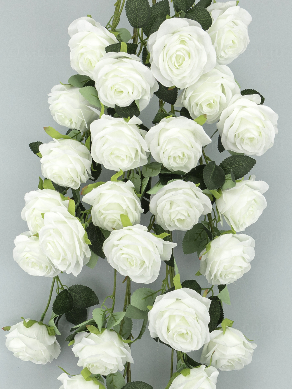 Ампельная кустовая роза Мариэлла белая