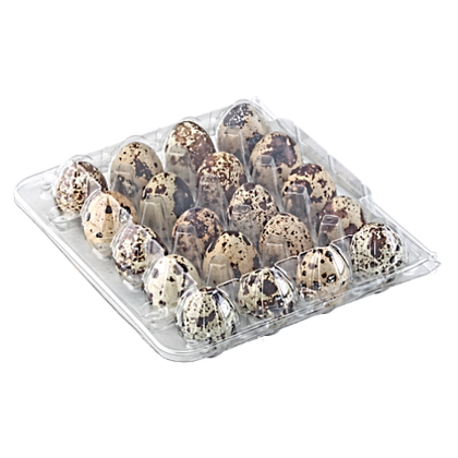 Упаковка на 20 перепелиных яиц ПЭТ прозрачная